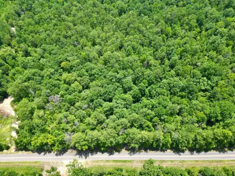 Greenville Land for Sale