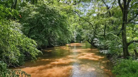 Expansive Land with Creek Frontage