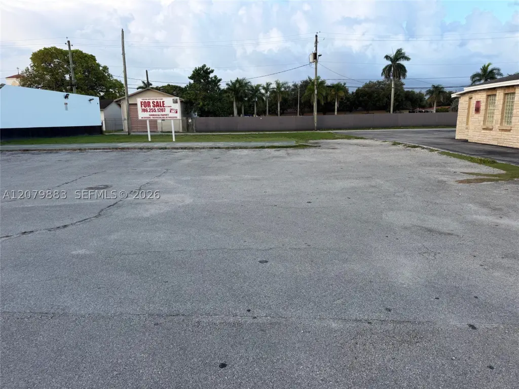 Picture 19