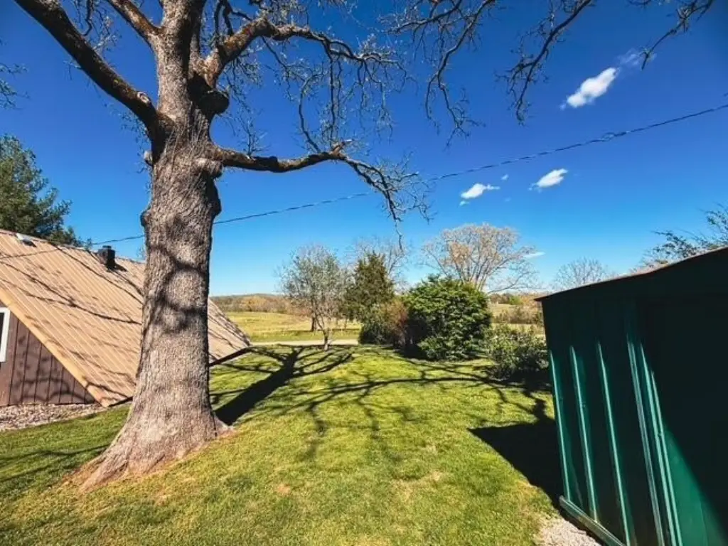 Picture 19