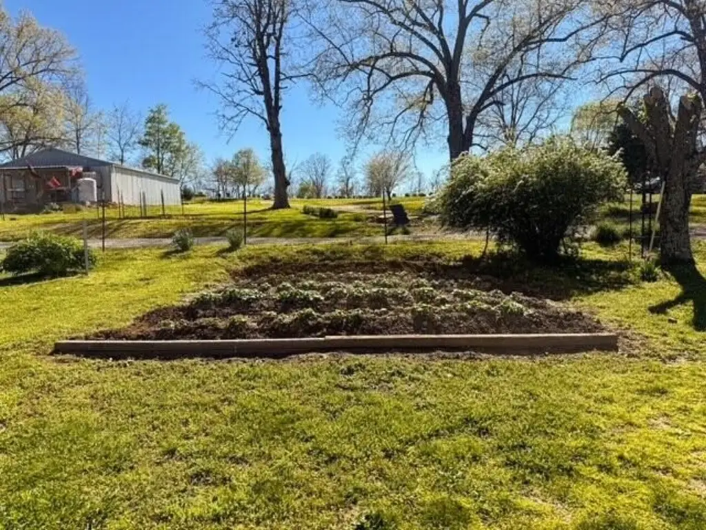 Picture 22