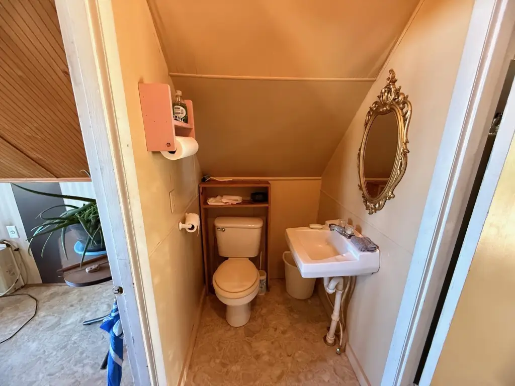 Picture 31