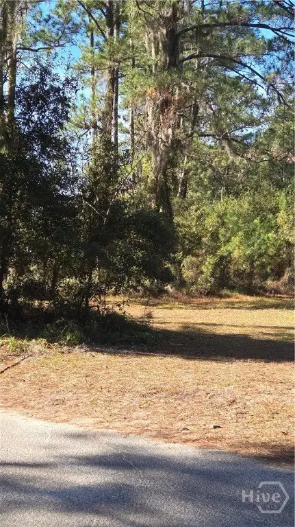 Picture 3