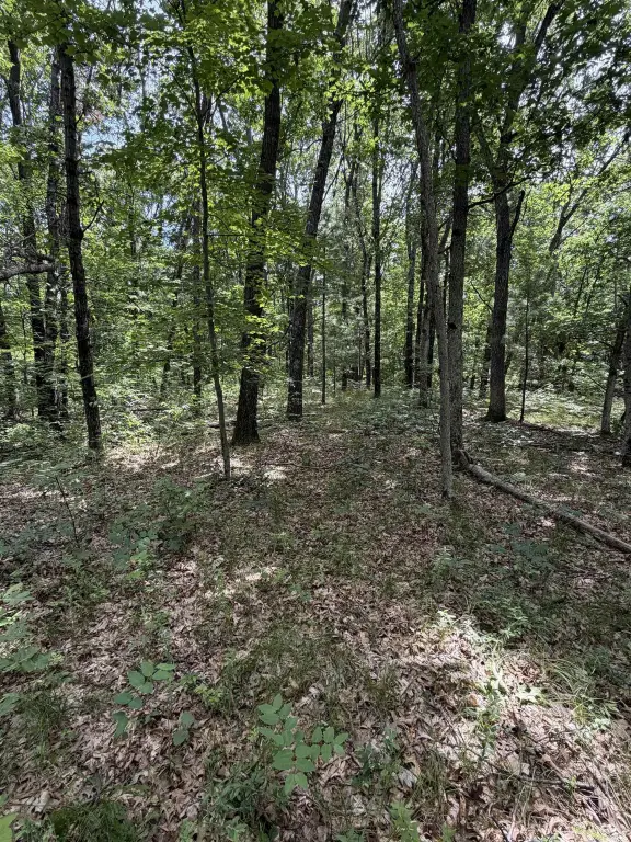 Picture 14