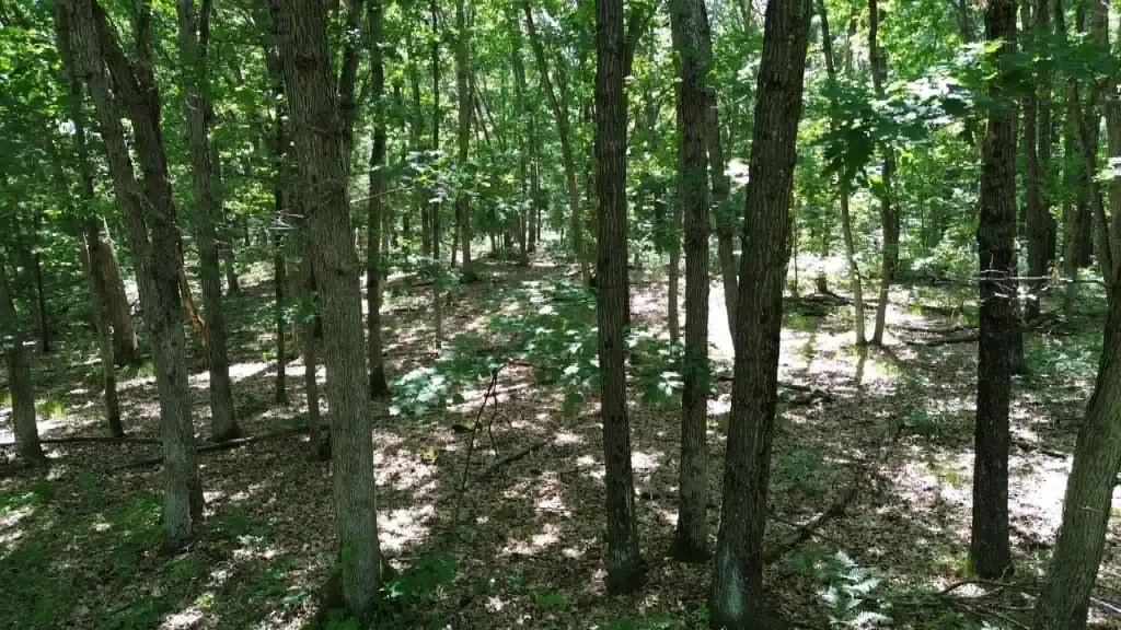 Picture 9