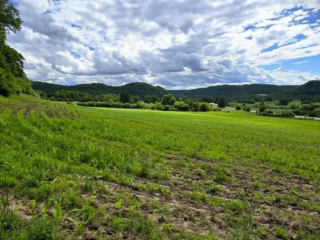 Picture 16