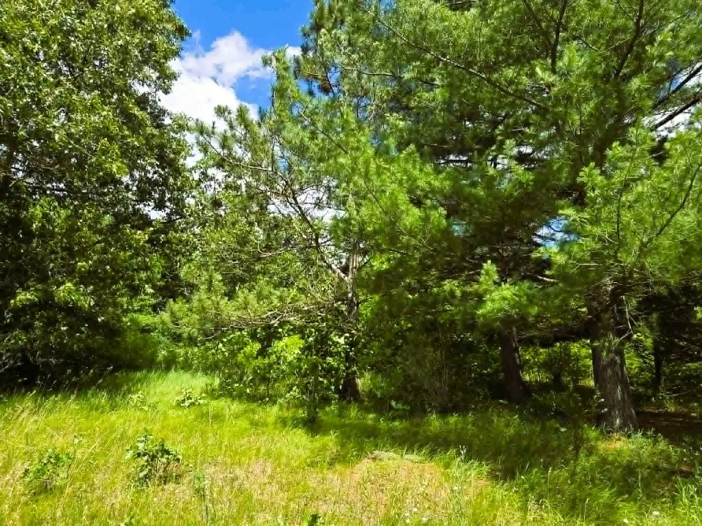 Picture 25