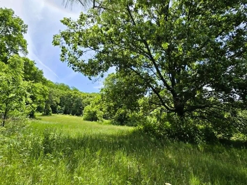 Picture 7