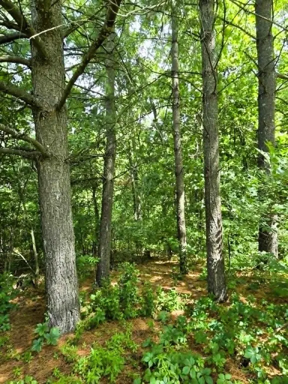 Picture 26