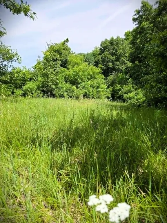 Picture 27
