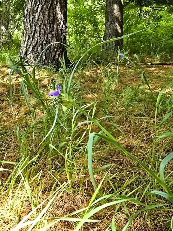 Picture 21