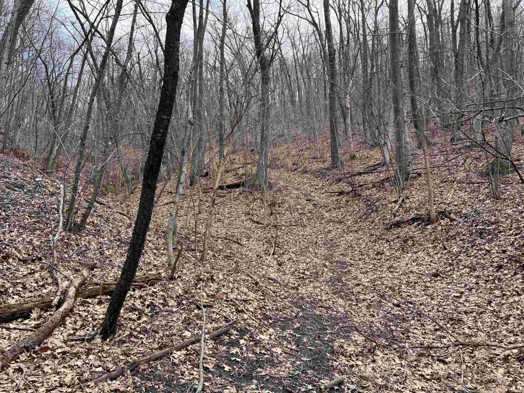 Picture 10