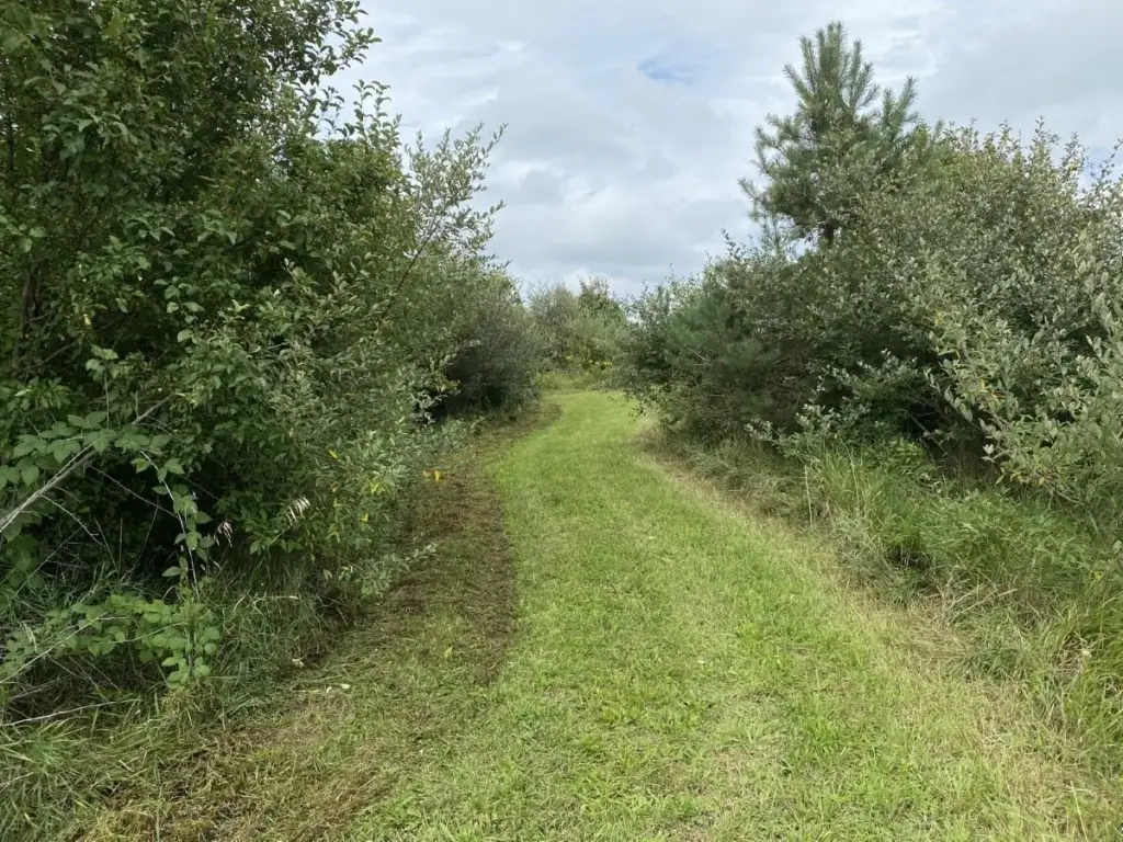 Picture 24
