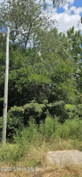 Residential Land in Rockingham, NC