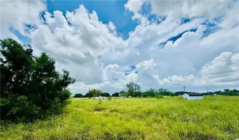 Edinburg Acreage For Sale