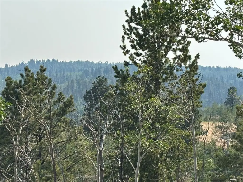Picture 26