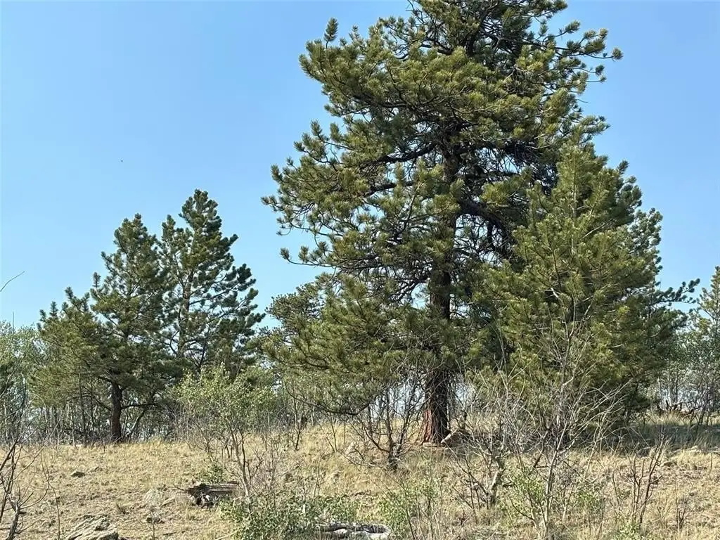 Picture 21