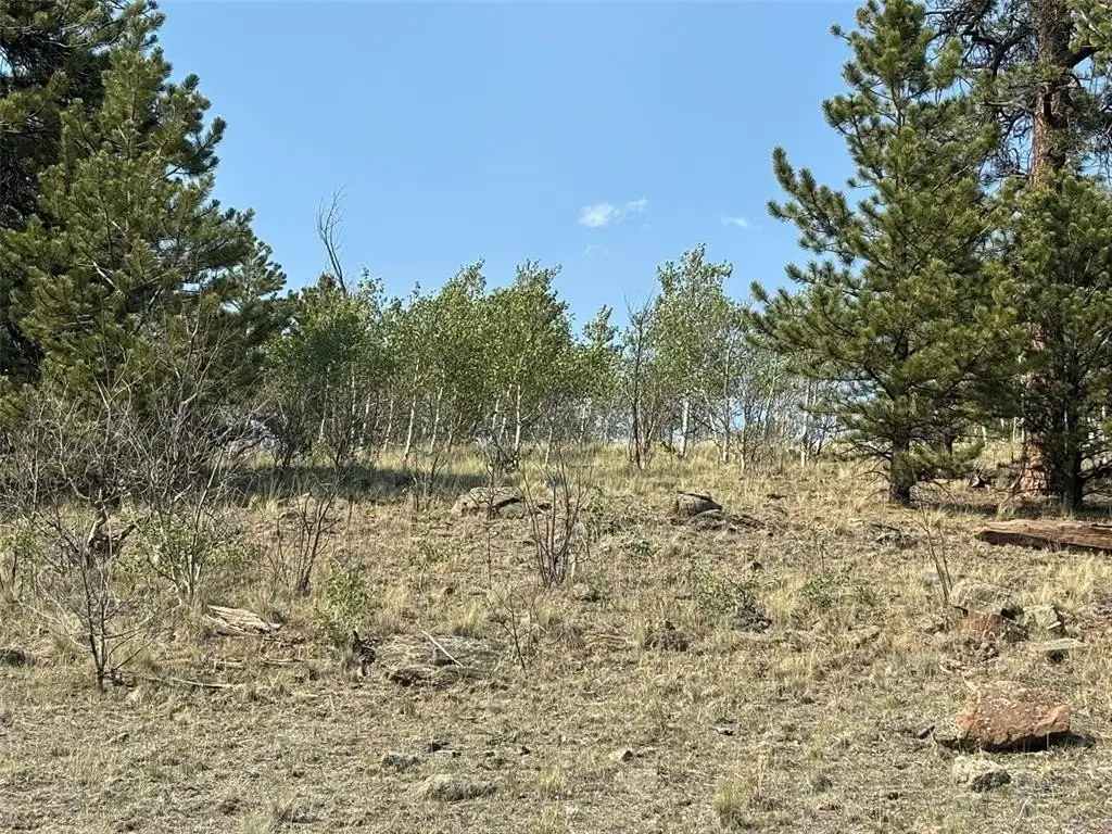 Picture 15