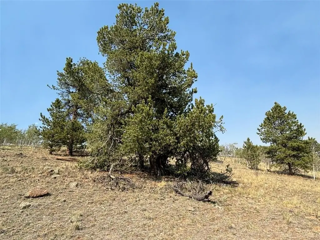Picture 25