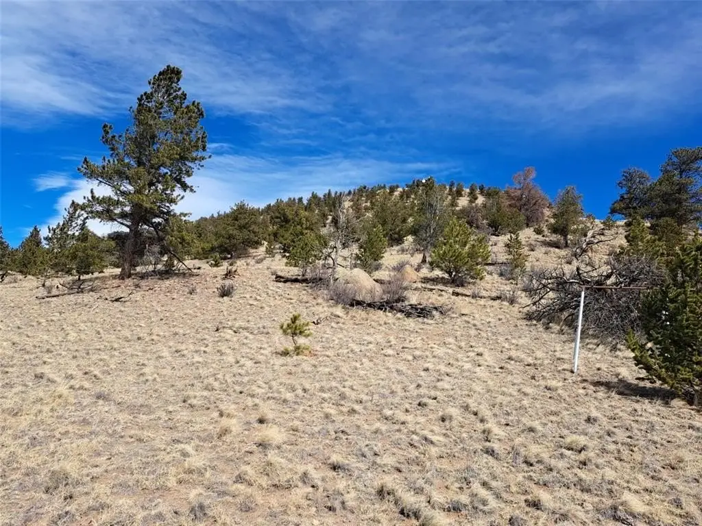 Picture 25