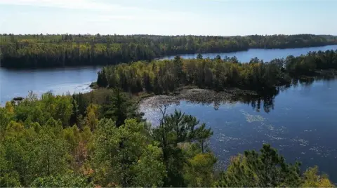 Northwoods Land with Lake Access