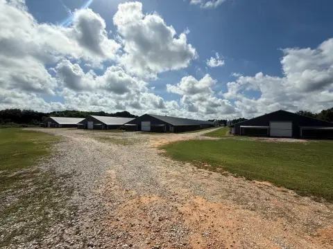 28 Acres Agricultural Land For Sale