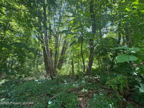 Expansive Land in Scranton, PA
