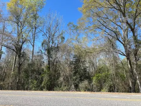 Wooded Homesite Near Troy, AL