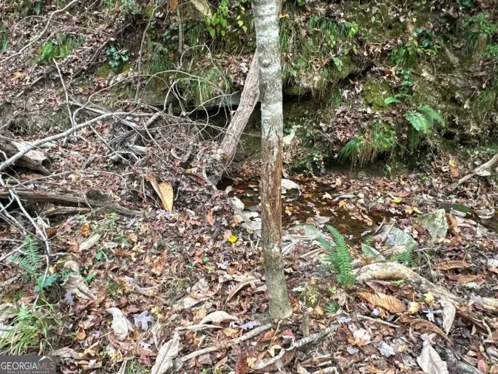 Picture 24