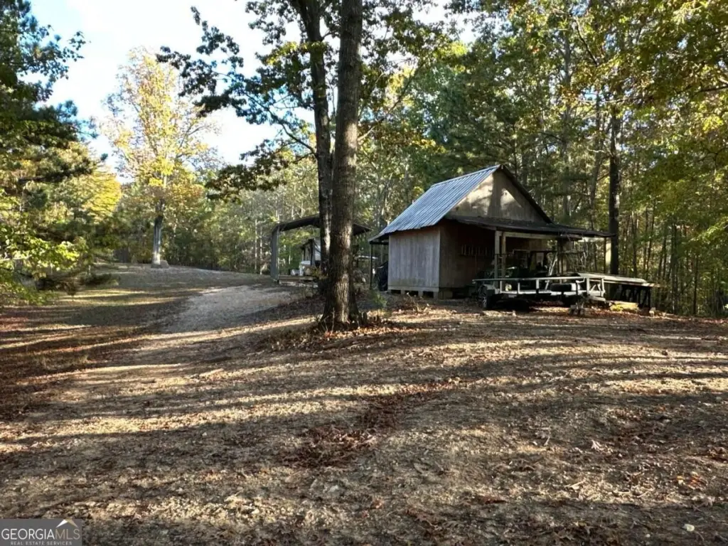Picture 44