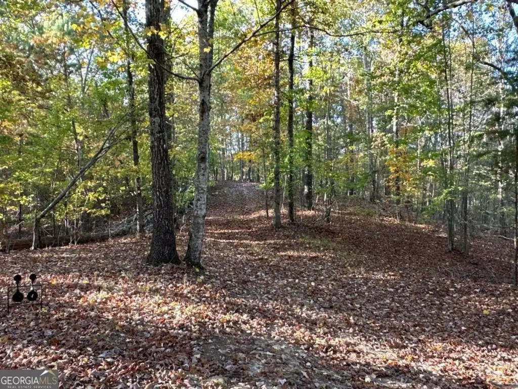 Picture 43