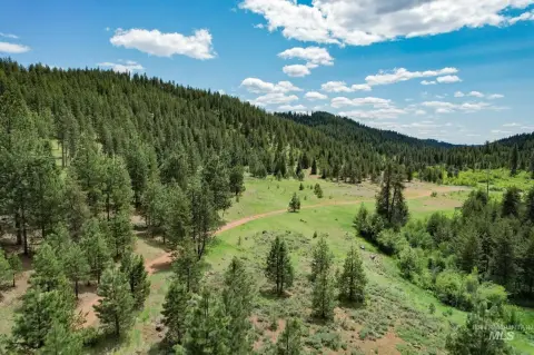 217 Acres of Mountain Land