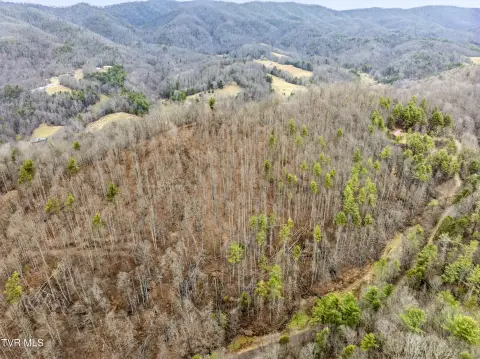 Unrestricted Land with Creek Access