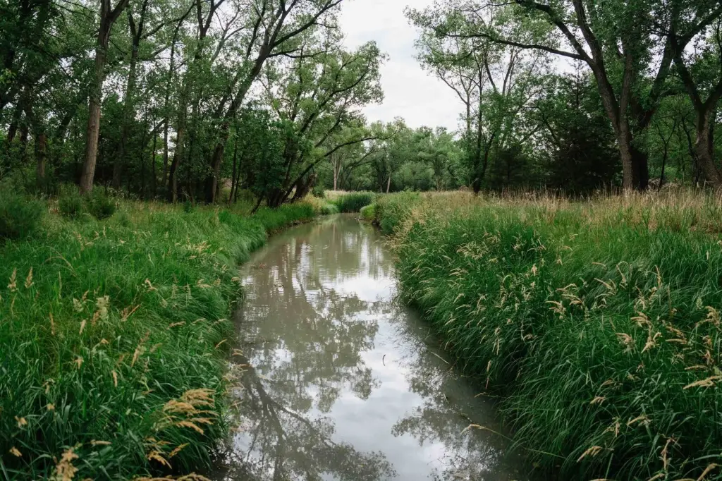 Picture 62