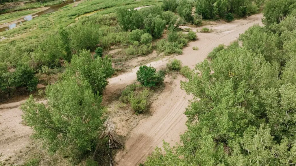 Picture 48