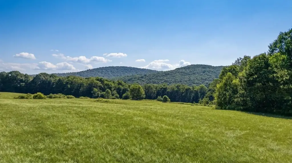 Picture 13