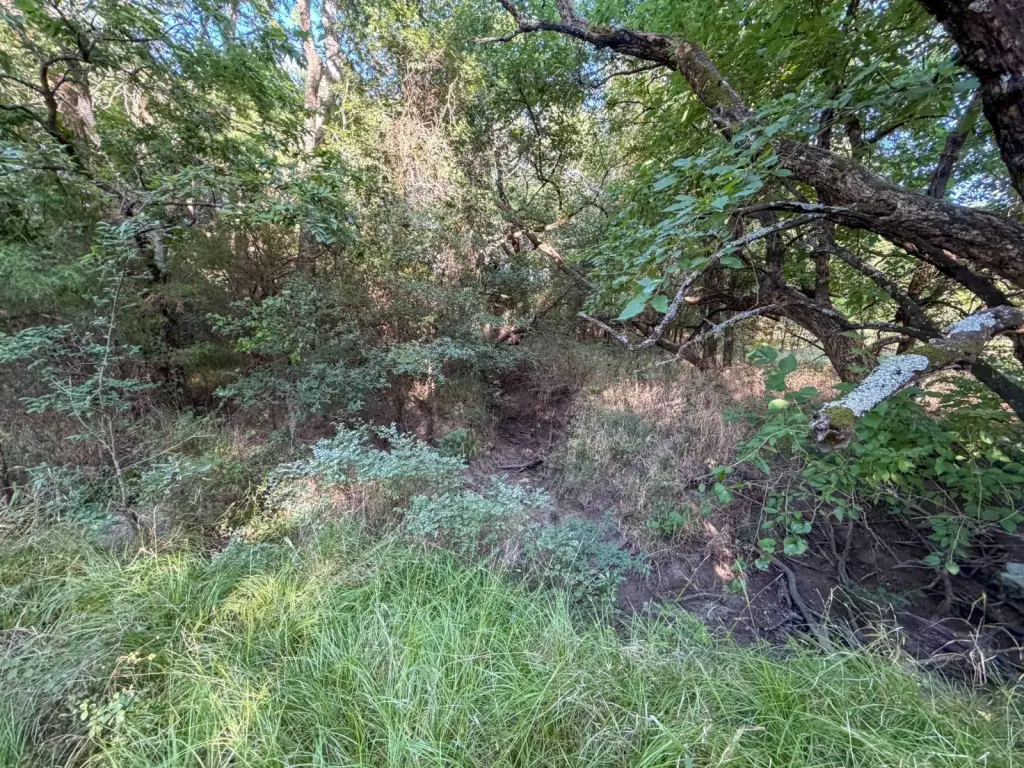 Picture 33