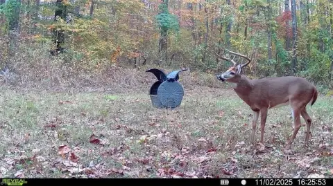 Reidsville, NC Recreational Land