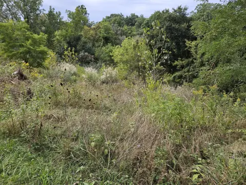 Creek-View Commercial Land