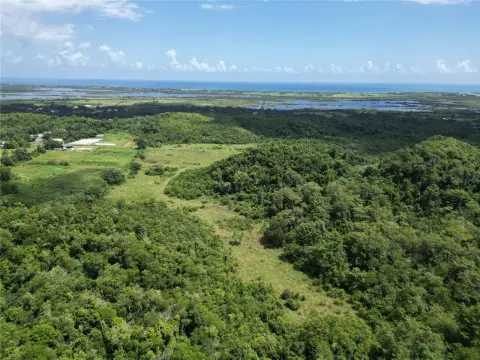 Arecibo Estate: Investment Opportunity