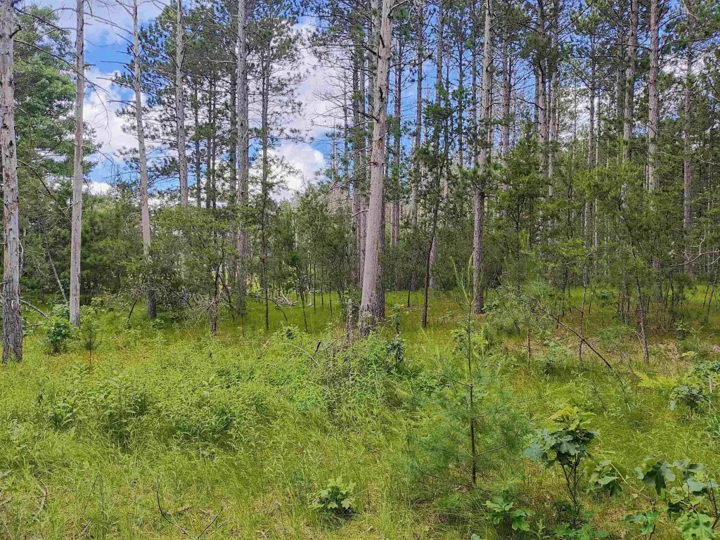 Picture 19