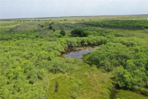 Wooded Recreational Land