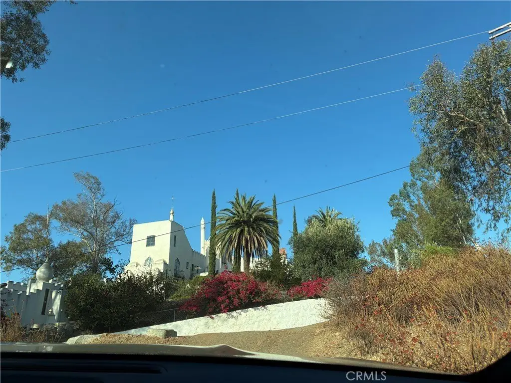 Picture 6