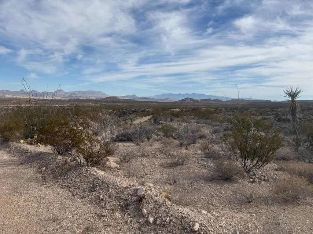 Picture 21