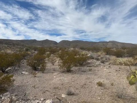 20 Acres Near Big Bend