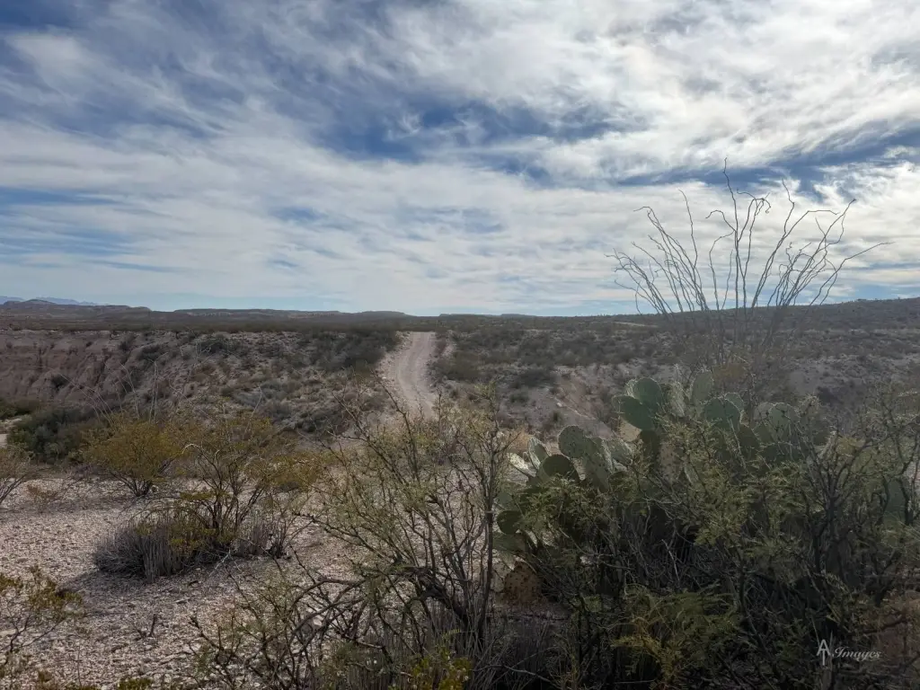 Picture 20