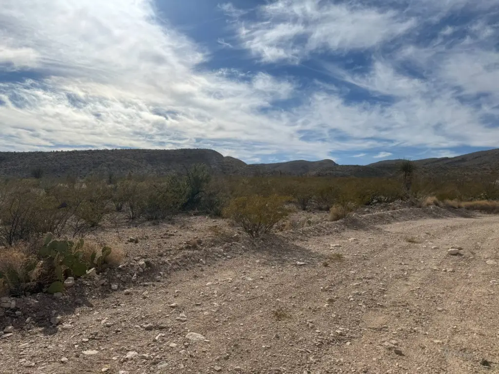 Picture 33