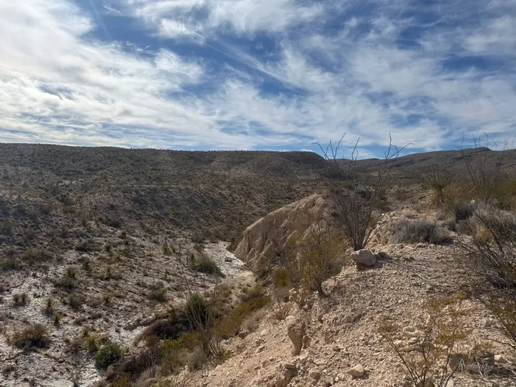 Picture 38