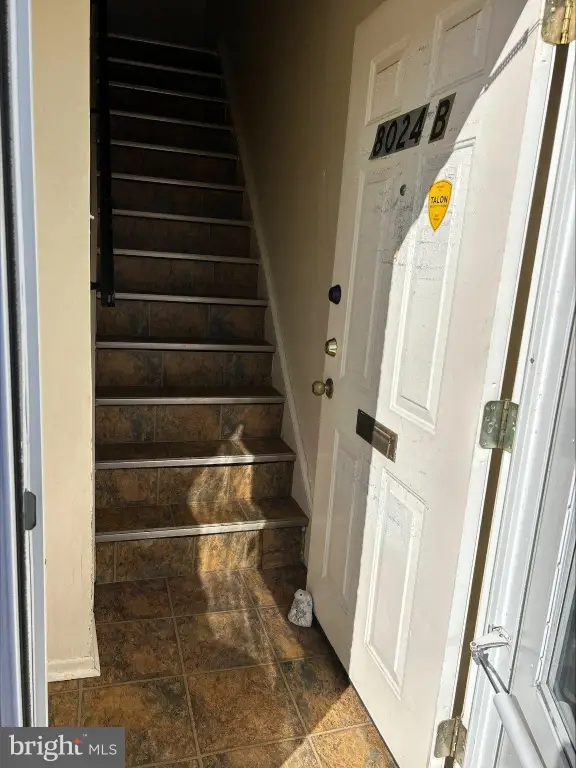 Picture 2