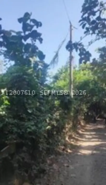 Picture 15